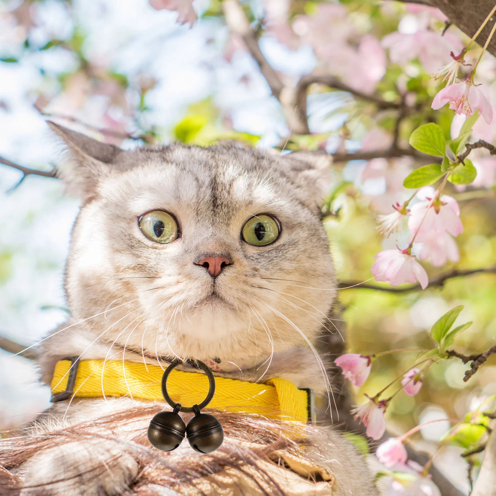 

2Sets Pet Bell Copper Loud Dog Collar Cat Training Keychain Pendant Accessories DIY Charm Decoration Dog Collar Bell