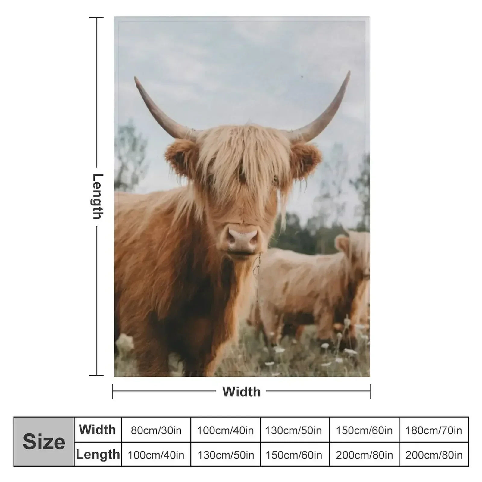 Curious Highland Cow Throw Blanket Custom Blankets For Sofas Blankets