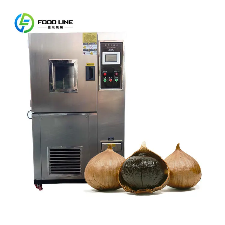 Black Garlic Fermenter for Sale FL Customized Wholesale Fermentation Machine With Competitive Price