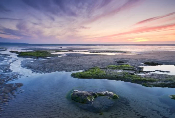 

4 пары, 8 шт., Gemfan, 31 мм, 1208, 3-лопастной 1209, 4-лопастной пропеллер для ПК, отверстие 0,8 мм/1 мм/1,5 мм для FPV Freestyle Tinywhoop Drone 0702 Motor