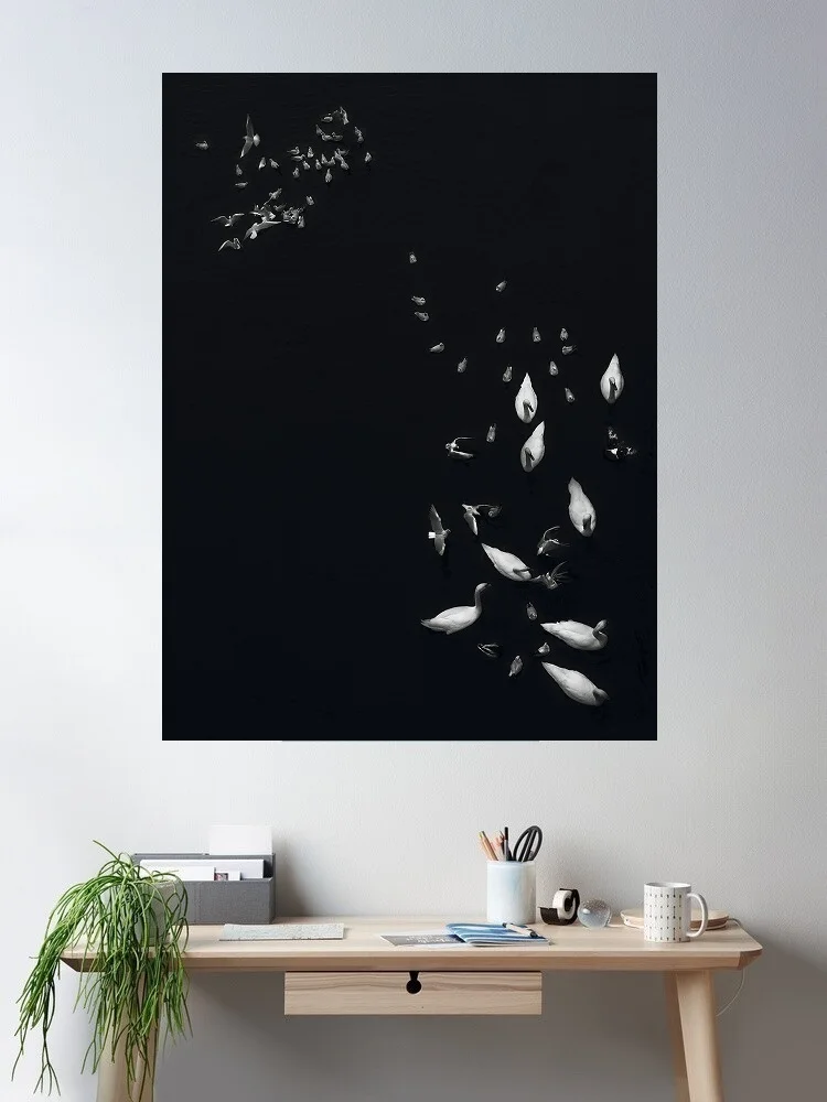 Peter Cech Dance of birds, Print Art Canvas Poster, Living Room, Home Wall Decor Picture