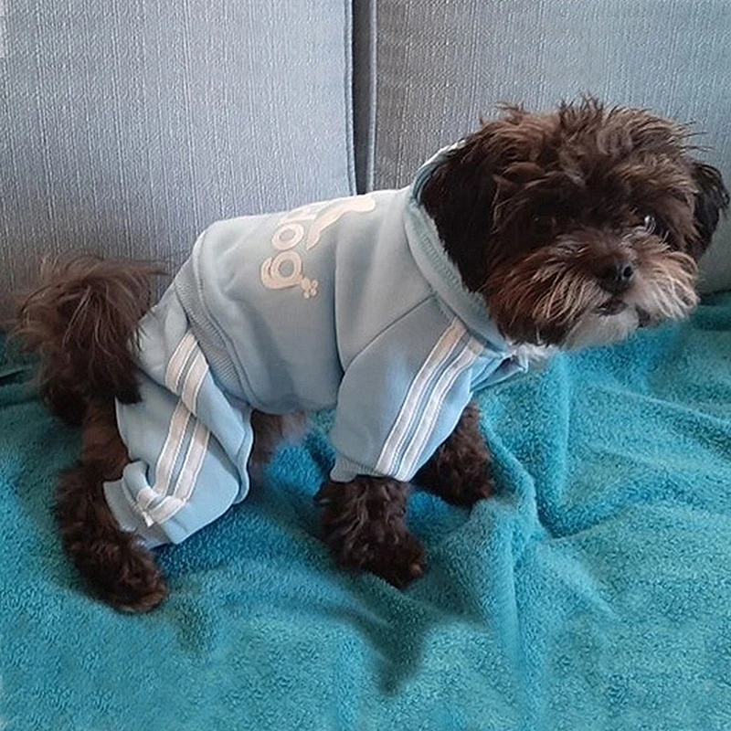 Clothes for Small Dogs Adidog Winter Dog Clothing for Medium Dogs Pet Products Puppy Sweatshirt Coat Chihuahua Costume Dropship