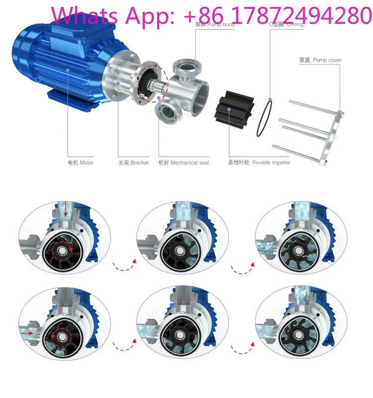 

Self Priming Flexible Impeller Pump RX Series Large Particles Transfer Pump