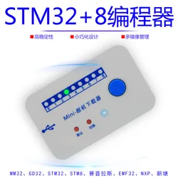 Programmatore Offline STM32 MM32 GD32 bruciatore Offline Downloader Offline bruciatore universale STM8