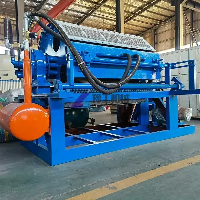 Wholesale Automatic Recycle Paper Pulp Chicken Egg Trays Molding Machine Eggs Carton Making Machine for Sale