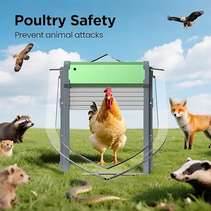 Porte automatique pour poulailler solaire, porte à volet roulant en alliage d'aluminium avec minuterie et capteur de lumière, protection anti-pincement, alimentation solaire et chargement USB