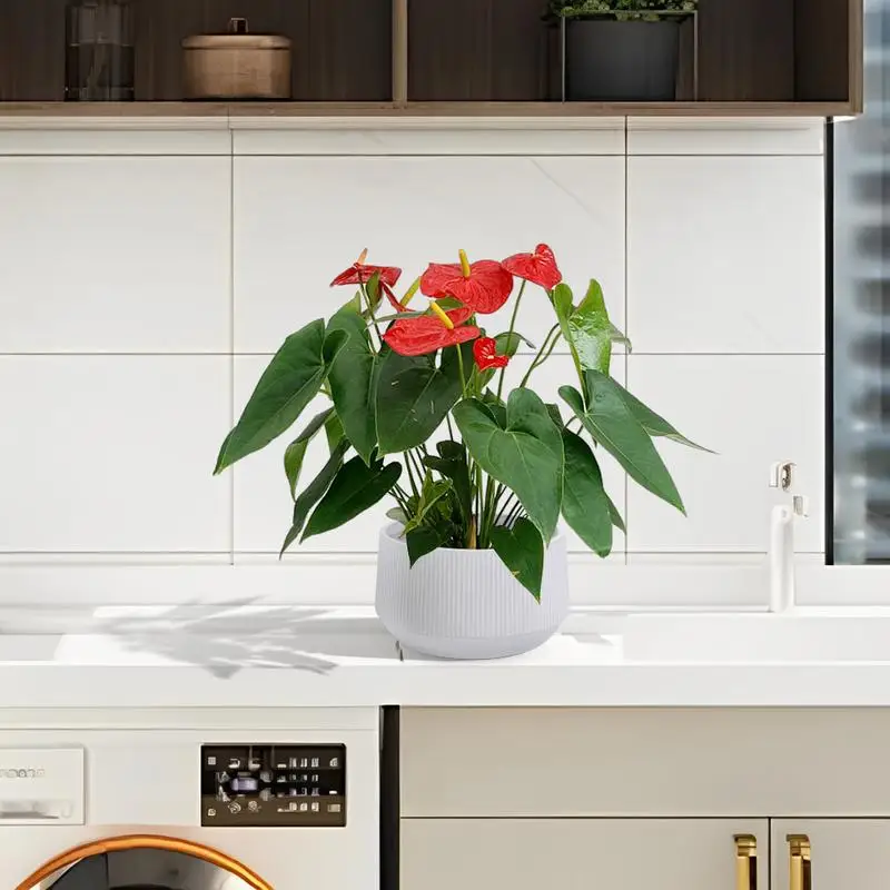 طقم أوعية زهور سيراميك مكون من قطعتين، مزارعي حديث للفناء أو الحديقة أو النوافذ - لمسة نهائية بيضاء لامعة للديكور الأنيق #2