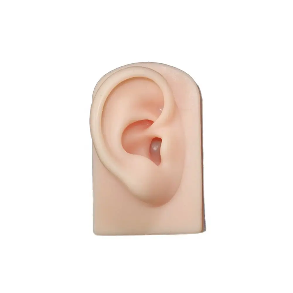 

Props Tattoo Practice Human Body for Hearing Teaching Simulation Ear Silicone Ear Model Fake Ear Jewelry Earrings Display