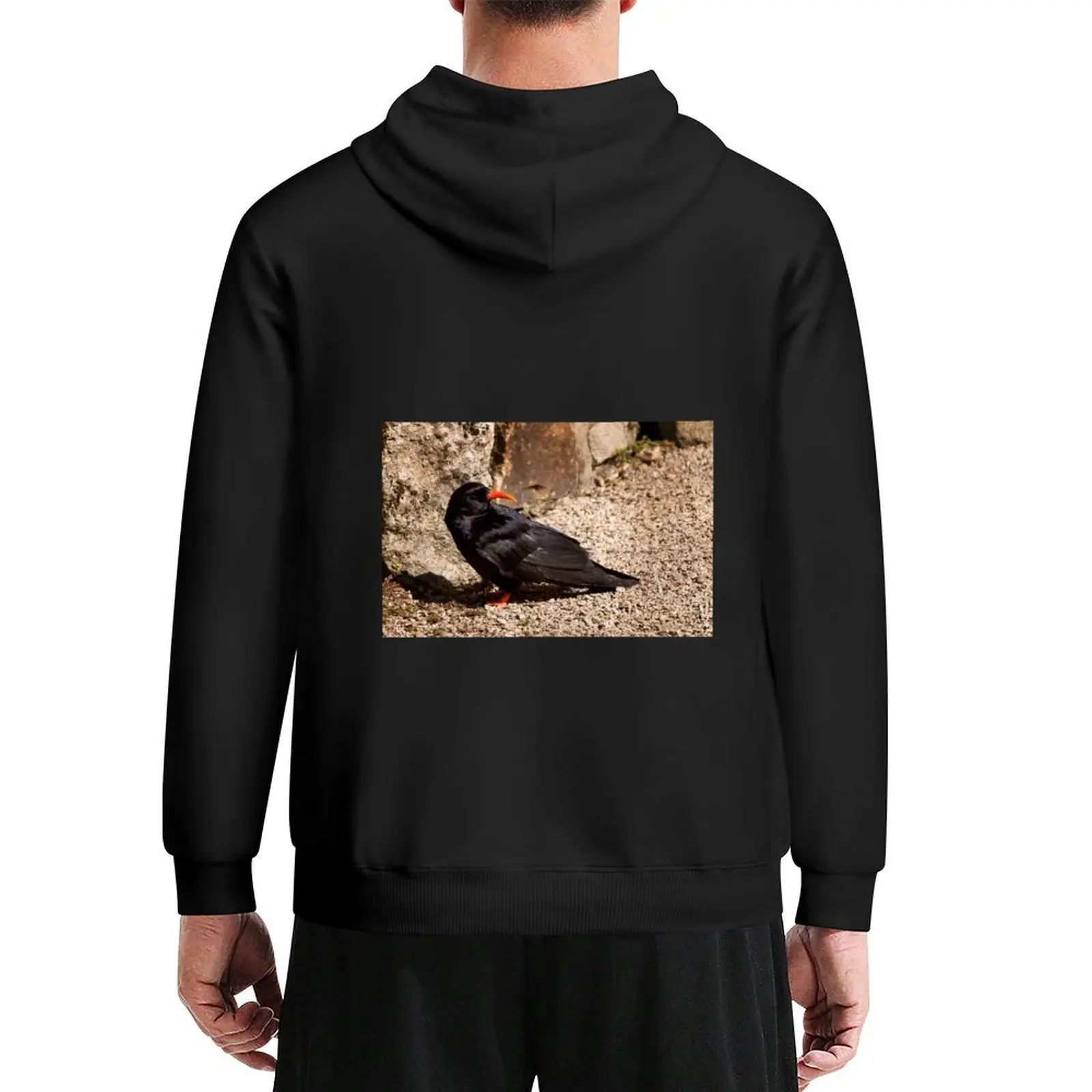 

Cornish Chough Hoodie anime clothes men's clothes autumn jacket men autumn clothes autumn hoodie