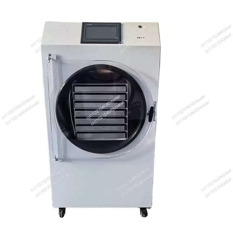 Vacuum Freeze Dryer Dry Machine Price