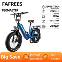 Fafrees F20 Master Electric Bicycle 500W 48V 22.5Ah 20 inch MTB Mountain Bike Outdoor Carbon-fiber Fat Tire Ebike for Adult
