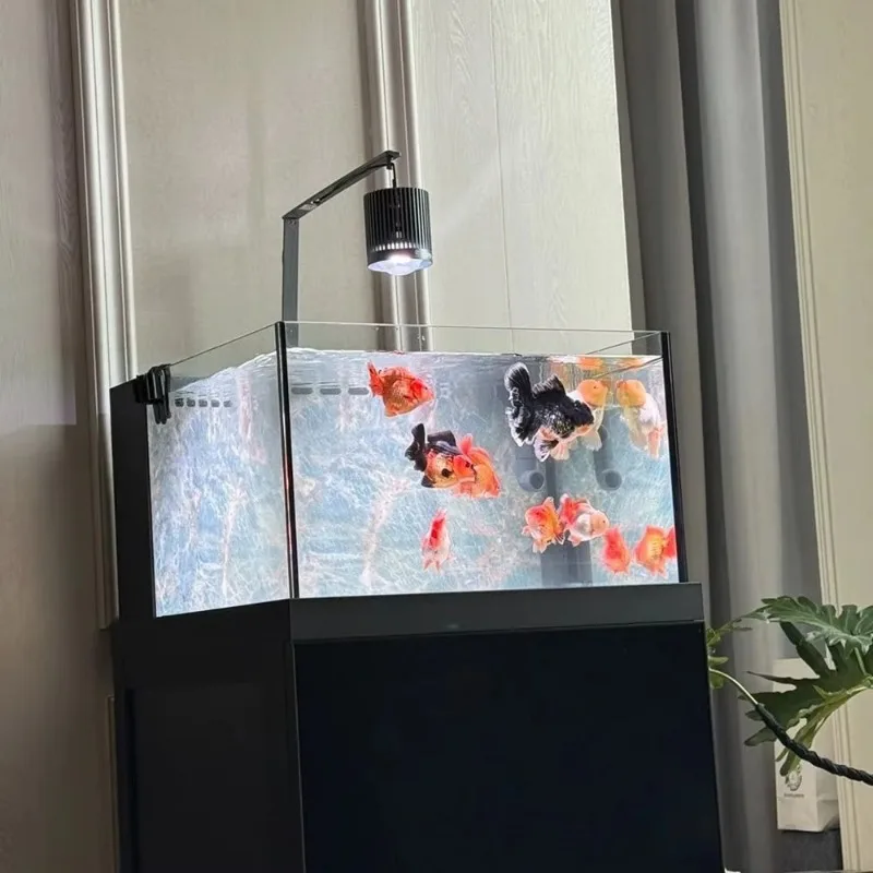 100W Goldfish Algae Explosion Lamp 110-240V Full Spectrum Timing Dimming Original Tank to Promote Algae Growth and Brightening