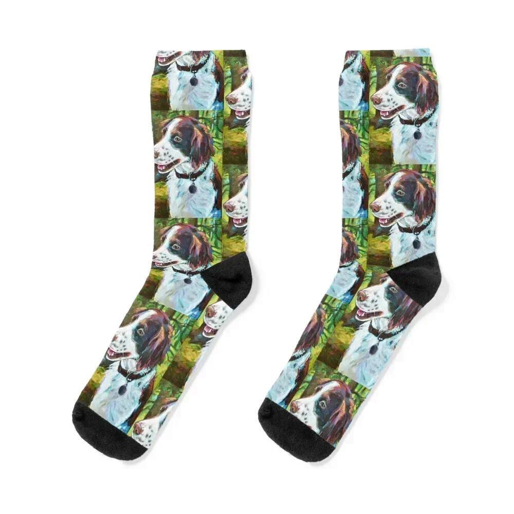 

BRITTANY SPANIEL HUNTING DOG Socks valentine gift ideas Sports crazy funny sock Ladies Socks Men's