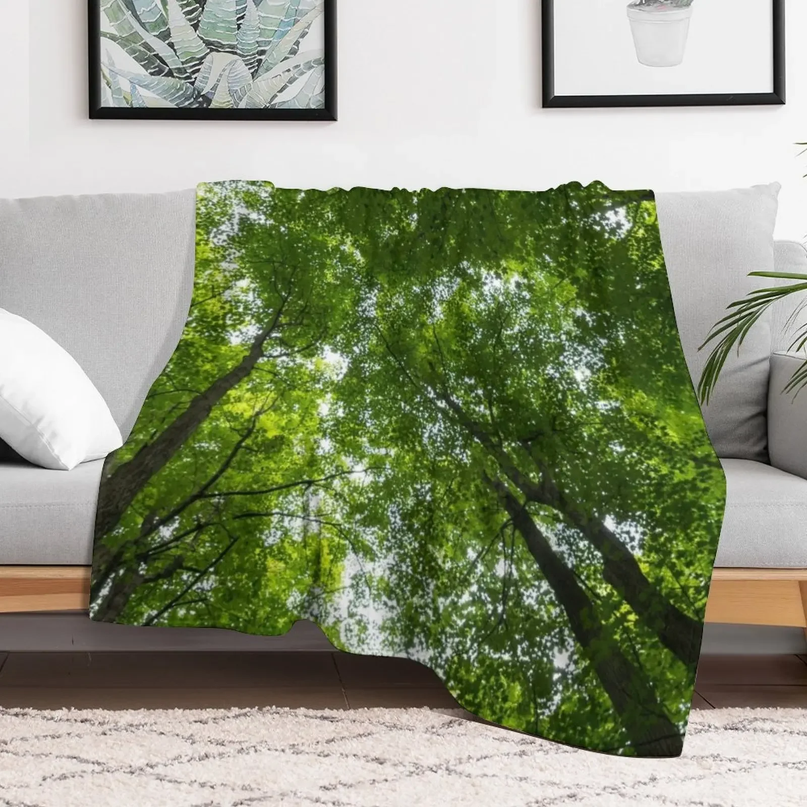 Natural Skylights - Biophilic Ceiling in the Woods Throw Blanket halloween For Sofa Thin Bed Blankets