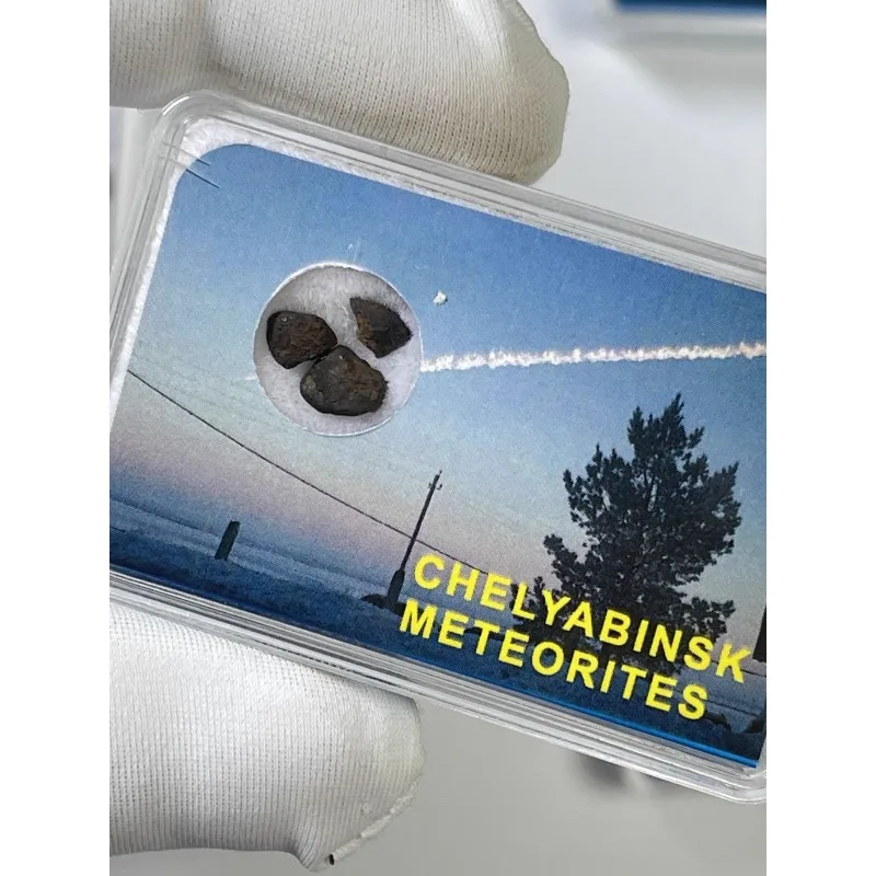 Meteorite 10th Anniversary Commemorative Science Specimen