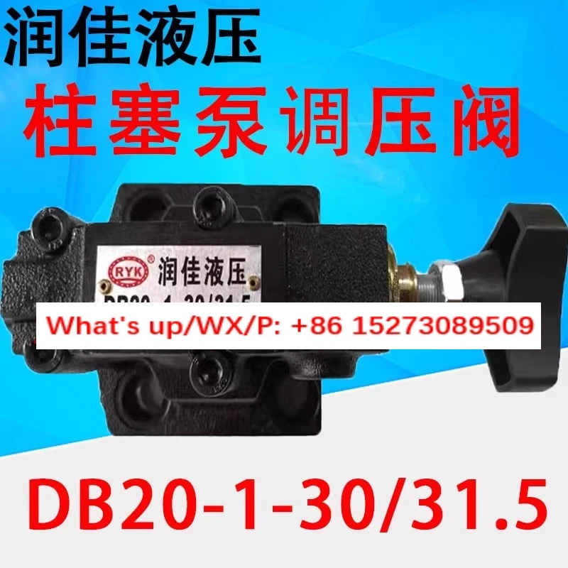 

Runjia hydraulic relief valve DB10-1-30/31 DB20-1-30/315 Y-63B 25B