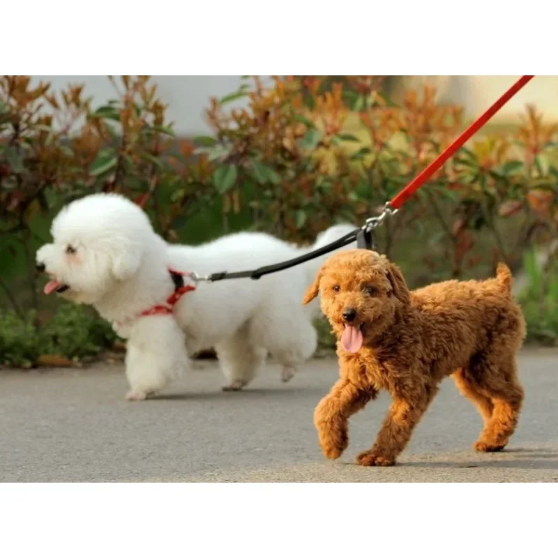 2 Way Couplers Dog Leash Rope Elastic Extended Pet Leash Belt Outdoor Training for Two Double Small Medium Large Dogs Lead Stuff