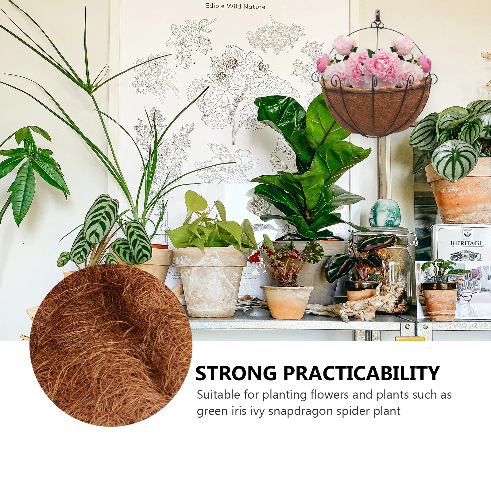 2 Stück 30 cm halbe Kugel-Kokosnuss-Blumentopf-Liner-Kissen, natürliche Kokosfaser-Topfmatte für die Pflanzenerhöhung, hydrophob, atmungsaktiv