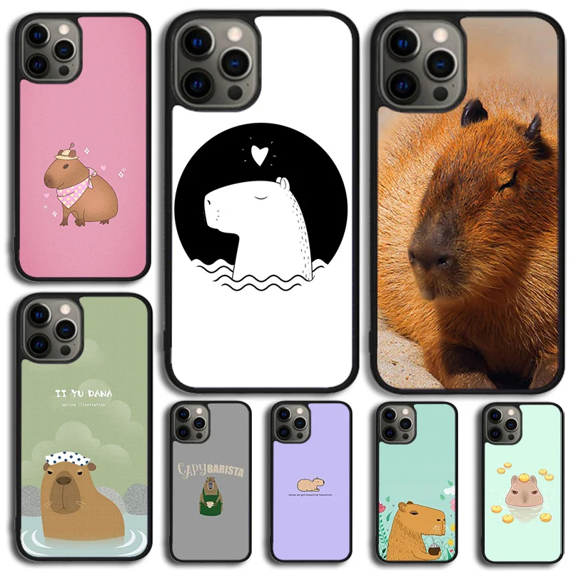 Capybara Animal Pho…