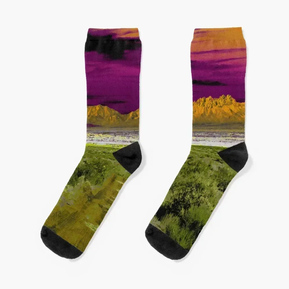 

Southwest Organ Mountains Panorama Socks gym Novelties kawaii Heating sock Male Socks Women's