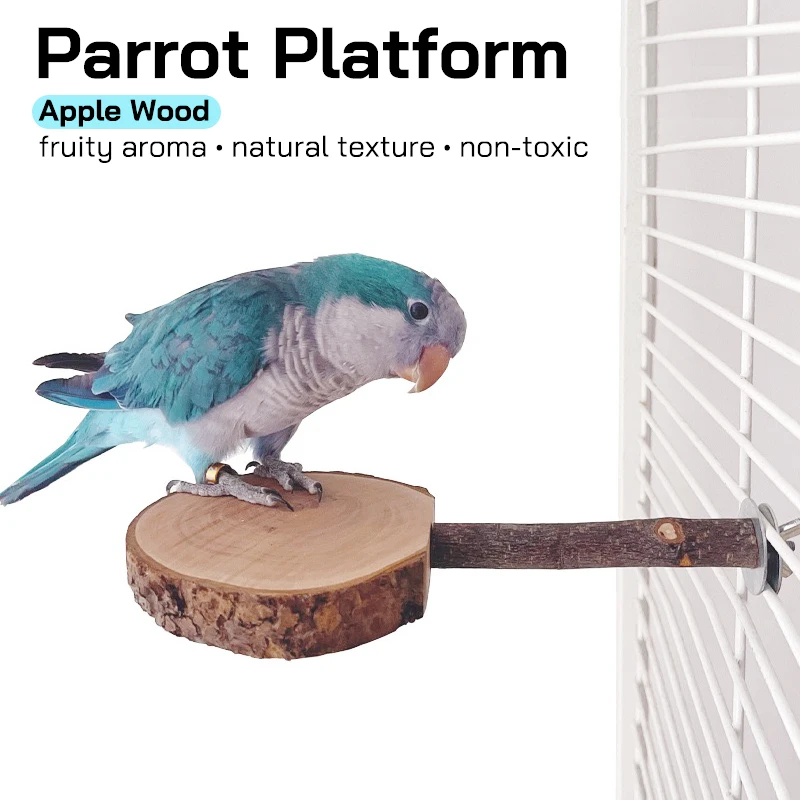 Origen madera rama de manzana pequeño loro tablero de pie seguridad resistente a mordeduras accesorios para jaulas de pájaros palo frutado suministros para mascotas pequeñas