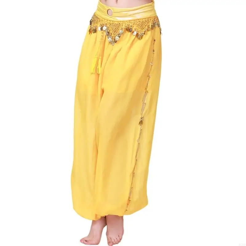 Costumes danse du ventre Belly Dance Coin Lantern Pants Split Sequins Harems Pantal