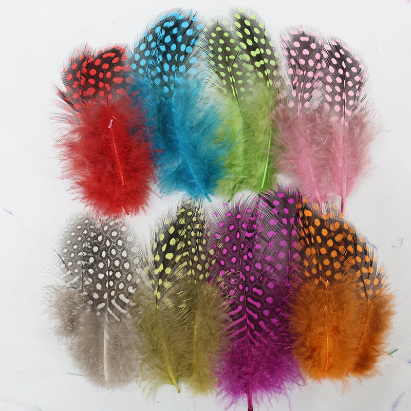 50Pcs Natural Guine…