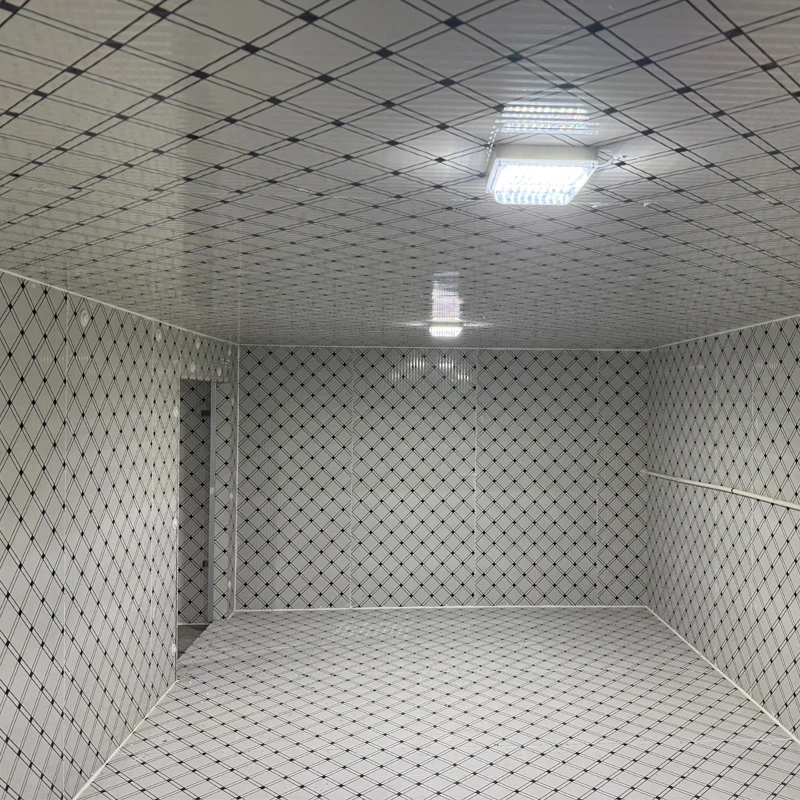 Cold Room PU Sandwich Panel Freezer Cold Storage Walk in for Fruits Vegetable Meat Sea Food