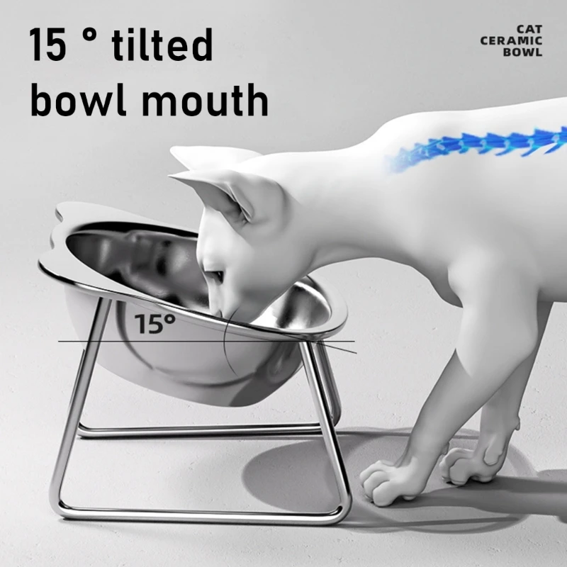 N5KC Raised Dog Cats Bowl Stainless Steel Pet Bowl for Puppies Cats,Kitten,and Small Dog Pet Supplies