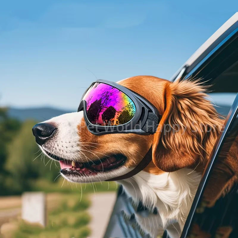 Dog UV Sunglasses 4