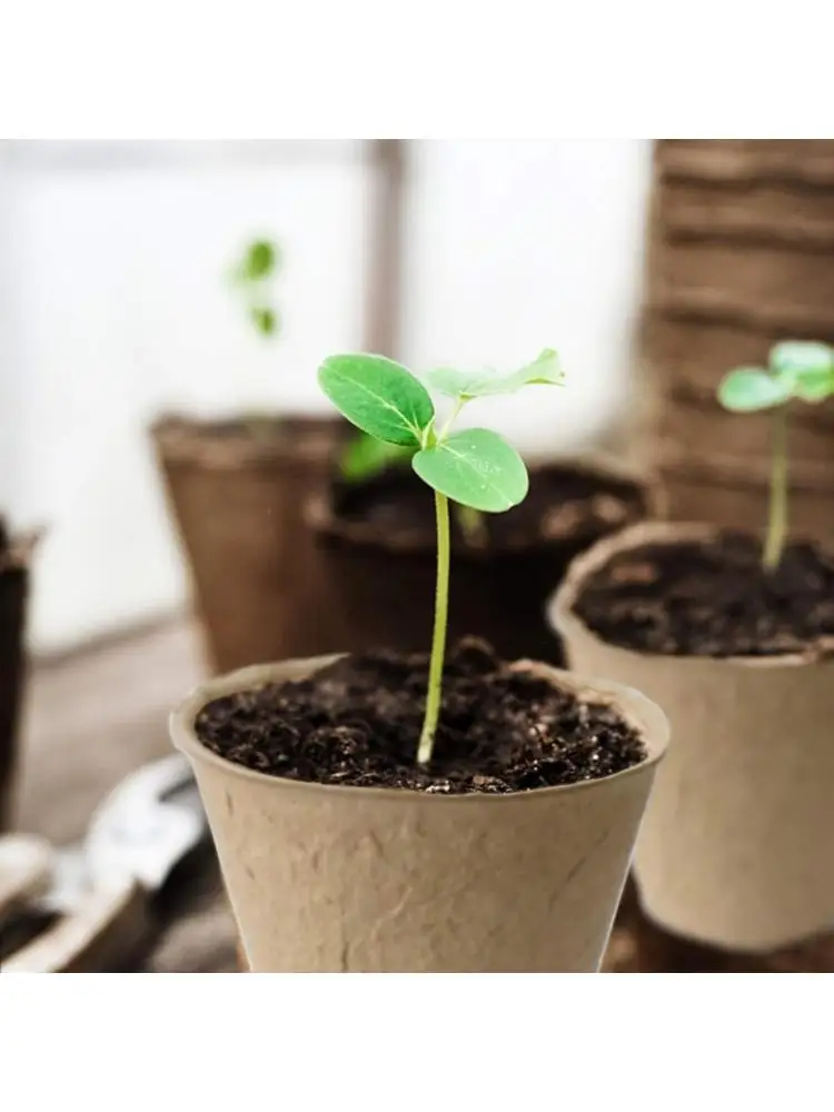 R9UF Pack Of 100 Natural Round Planting Cups For Indoor Growing And Garden Cultivation