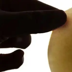 Stainless Steel Dum… - image