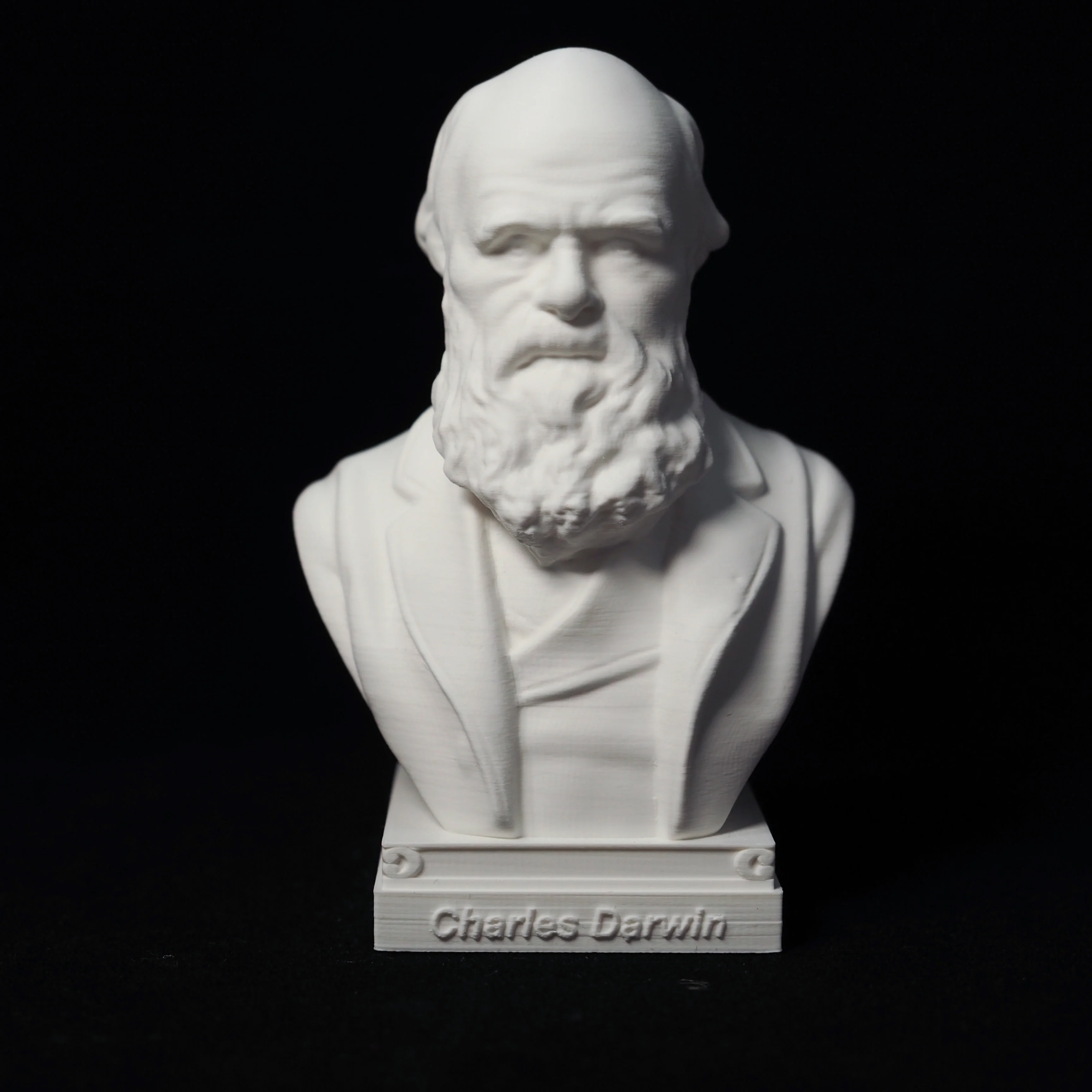 Darwin imitation plaster sculpture tabletop ornaments European scientist crafts great man portrait，plastic model