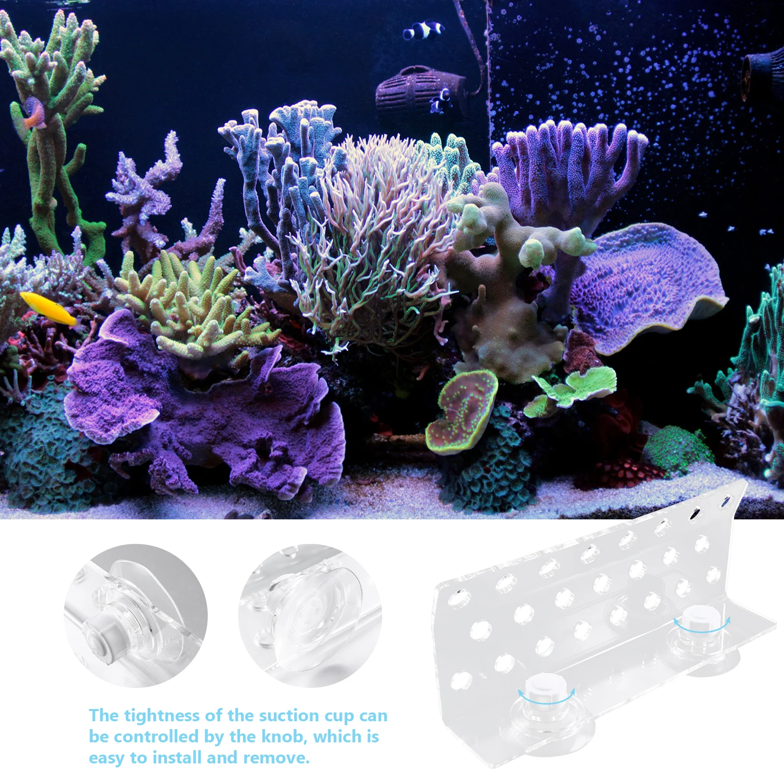 

23 Holes Coral Rack Acrylic Base Fish Tank Aquarium Support Holder Curved Front Row Buttons Suction Cup