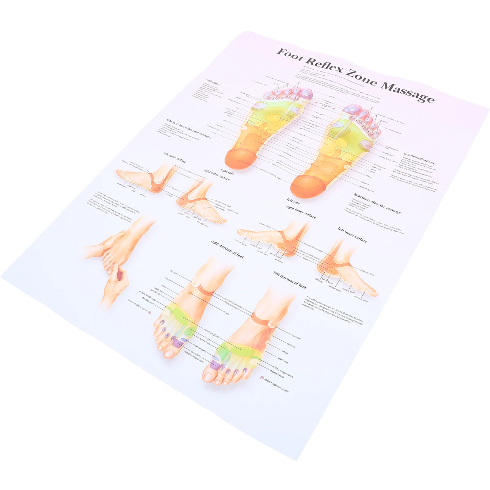 ملصق مخطط ريفليكسولوجي للقدم مقاس 24 × 36 بوصة مخطط تشريح للتعليم الطبي علاج التدليك دراسة جدار الفن مكتب الفصول الدراسية #4