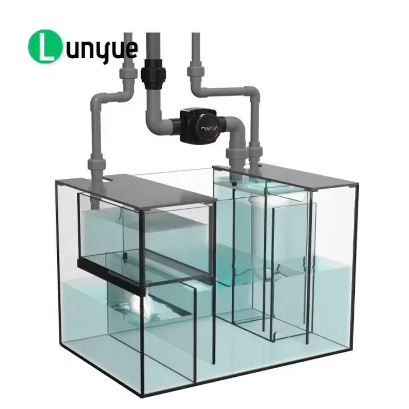Custom Laminated Glass Fish Tank 19mm Plus 19mm With Filtration System For Home Aquarium Durable Thick Clear Water Feature
