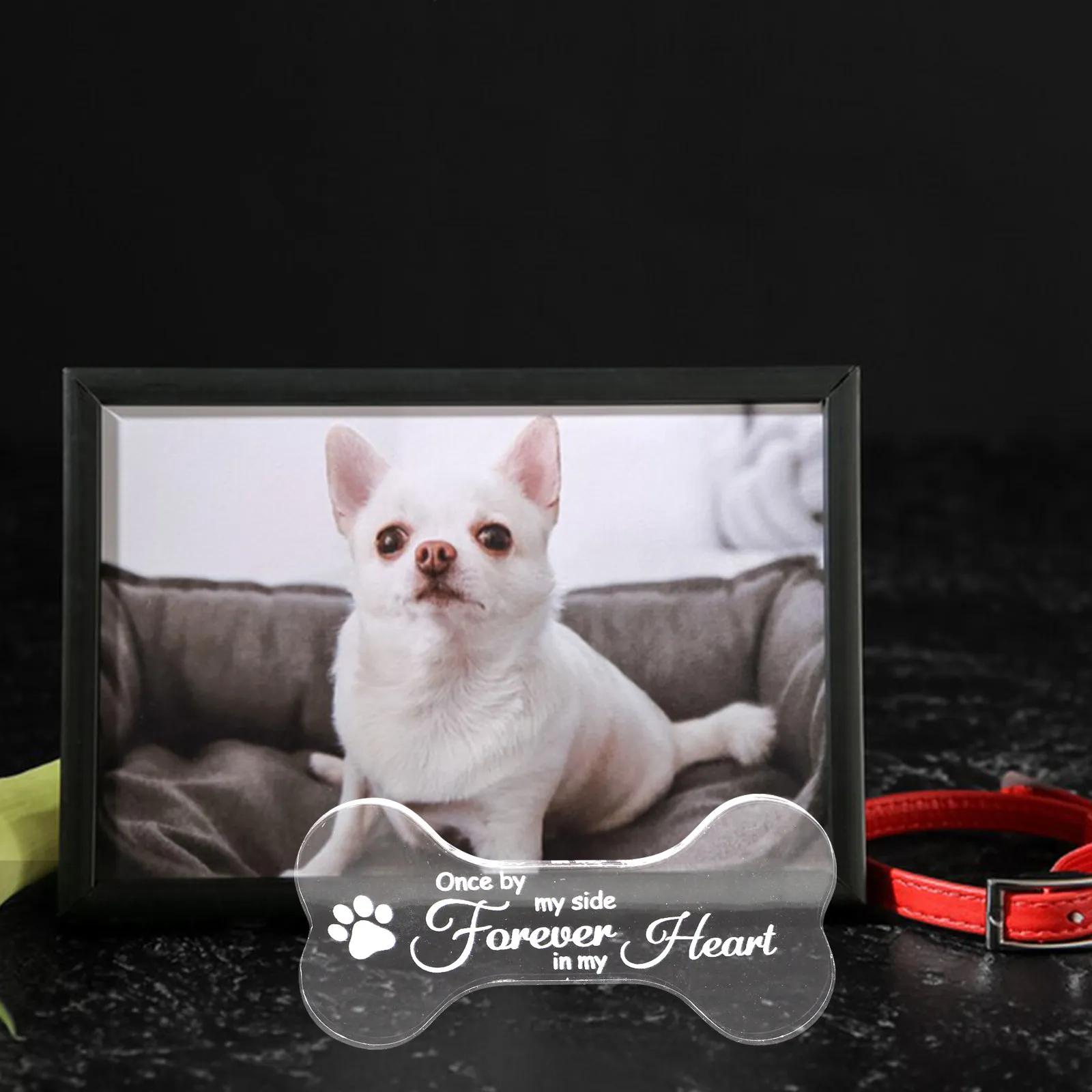 Pet Memorial Bone Shaped Plaque Garden Memorial Dog Commemorative Sign Outdoor Tribute for Lost Dog Pet Plaque