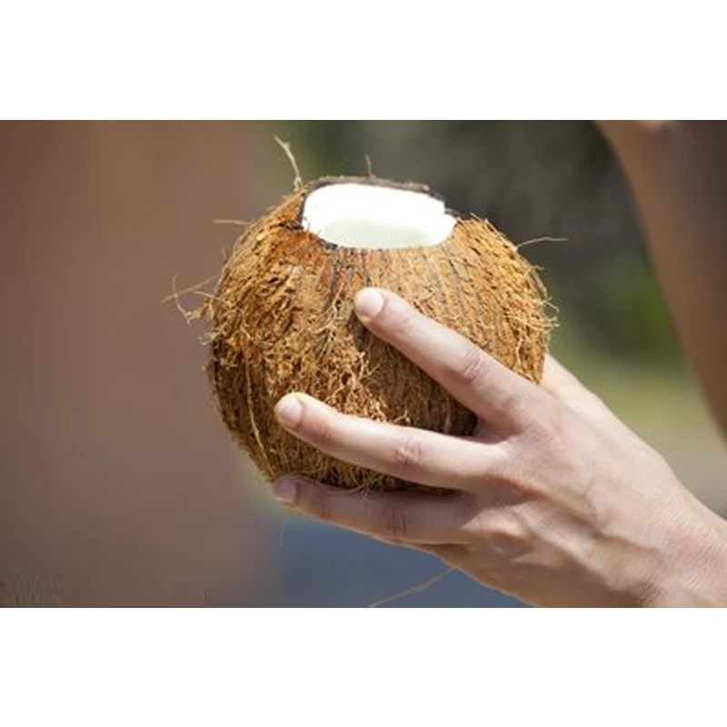 Electric Coconut Dehusking Machine for Brown Coconut Fiber Coir Removing and Skin Dehusking