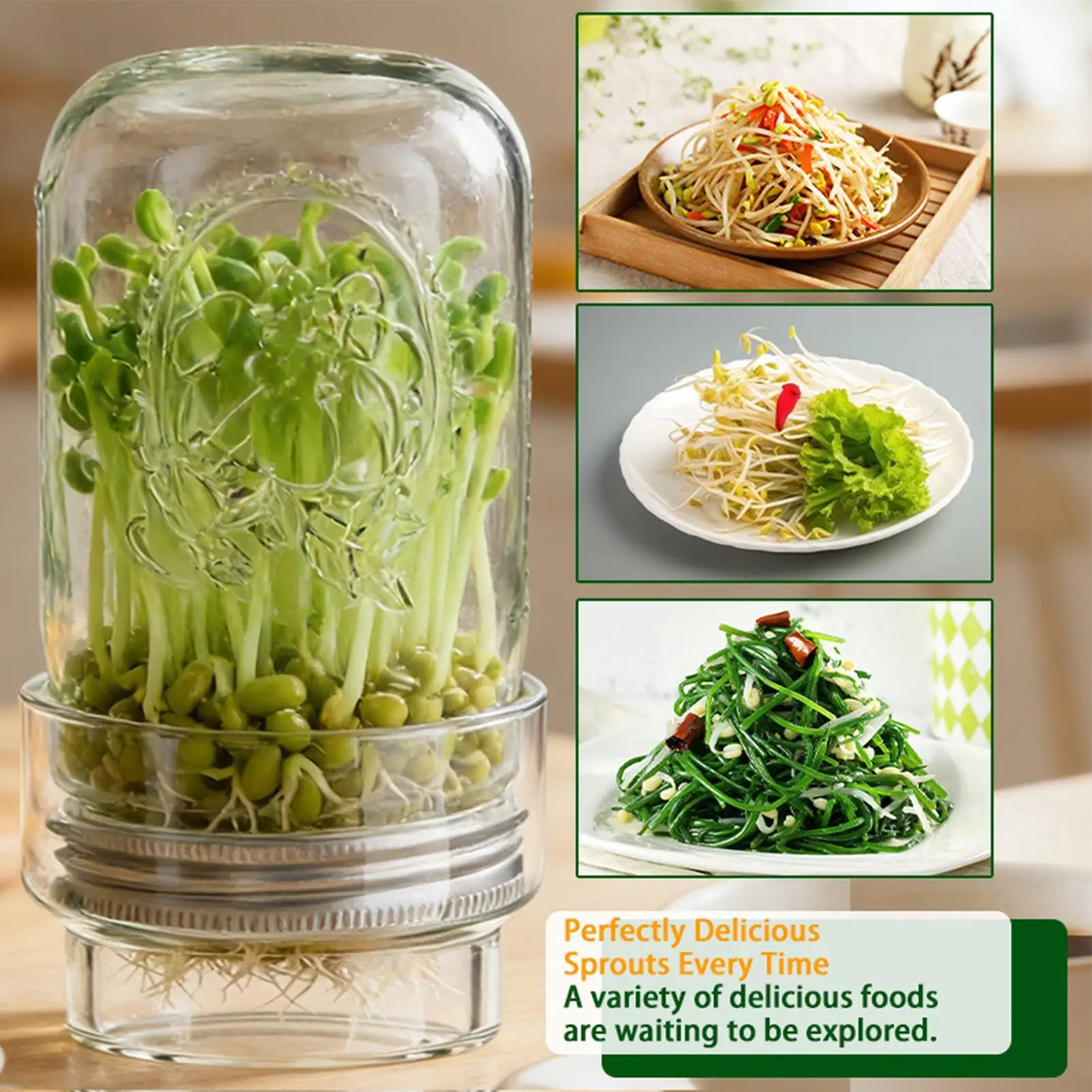 Glass Sprouting Jar Kit Health Vegetables Germination Broccoli Sprouts Growing Kit For Gardeners Beginners Homesteaders Kitchen