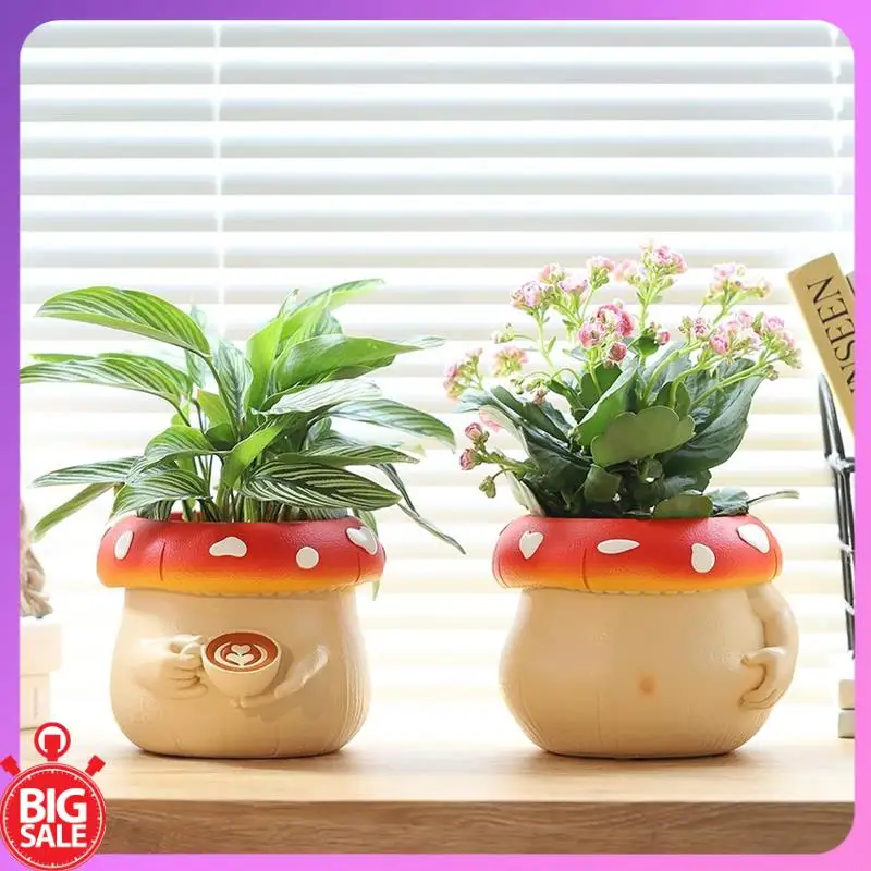 大きな取引かわいいベリーキノコプランター、排水管付きのカラフルでユニークな多肉植物ポット、植物用のレインボー小型ボディフラワーポット