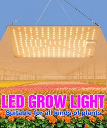 Full spectrum plant fill light, quantum board Growth Light, vegetable plant planting light, 40W, 60W