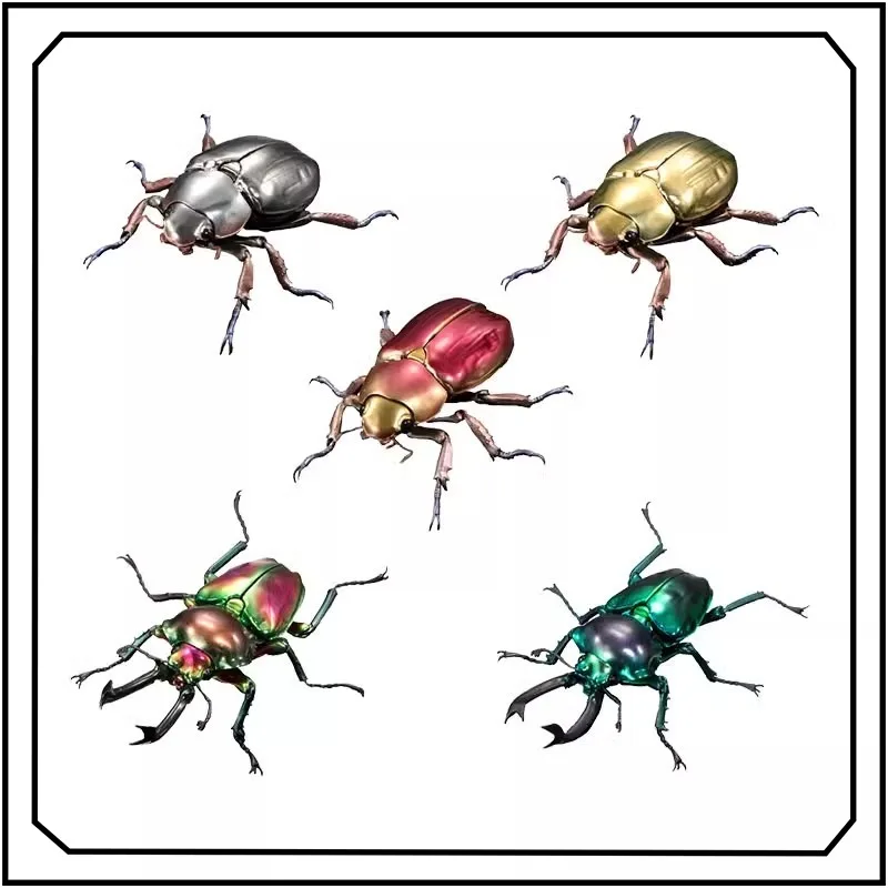 

Tortoise Beetle Gashapon Biology Illustrated Simulation Insect Model Collection New Gifts