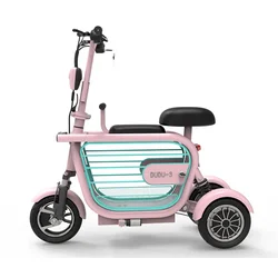 High Speed 10 Inch Tires 48V 400W 15Ah Battery Pet Dog Electric Scooter 3 Wheels Electric Moped with Pet Carrier