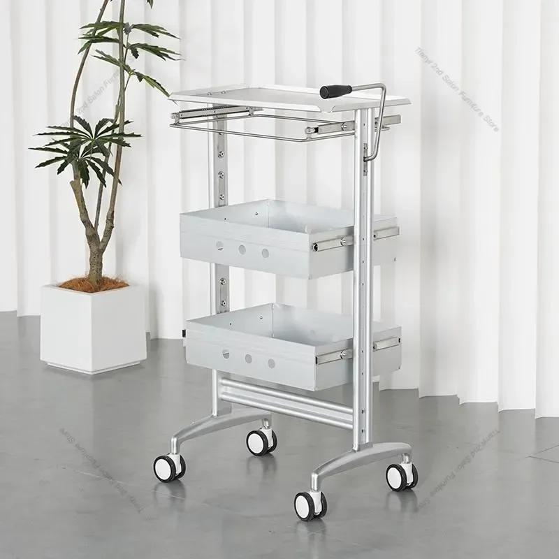 Professional Hair Salon Rolling Cart Multifunction Nordic Creativity Salon Trolley Barber Shop Hair Salon Furniture Carrinho FYS