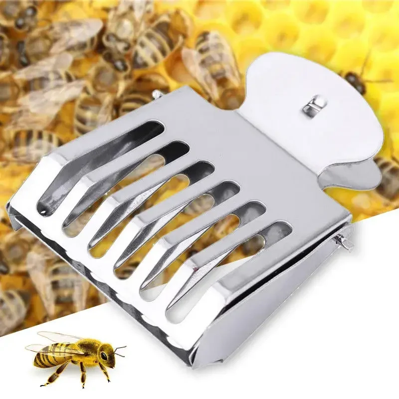 Bee Queen Catcher Clip Stainless Steel Queen Bee Catcher Cage Queen Bee Cage Isolation Room Insect Catcher Beekeeping Tools
