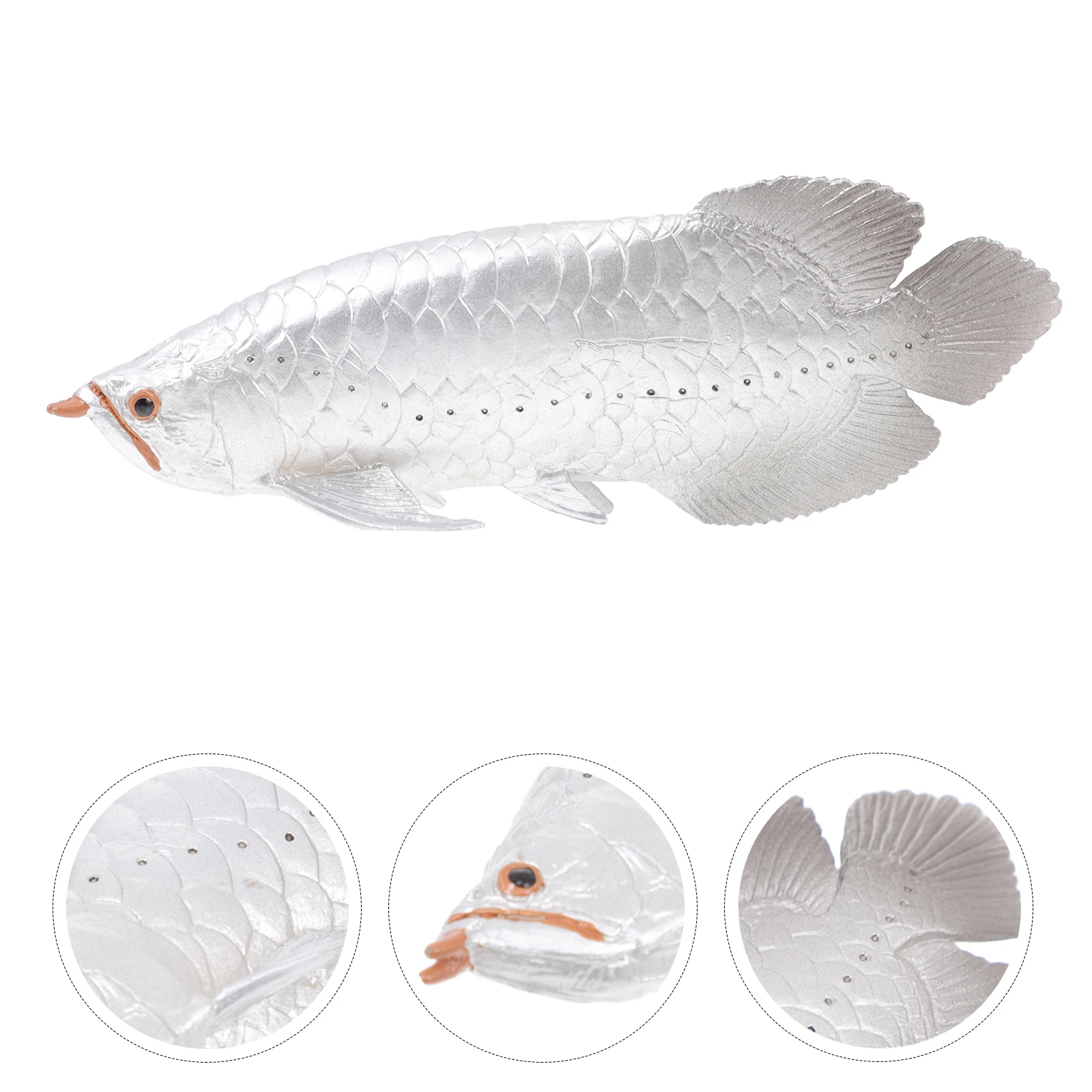 

Vivid Simulation Plastic Home Decor Desktop Ornament Kids Educational Children Cognitive Plaything Artificial Fresh-Water Shape