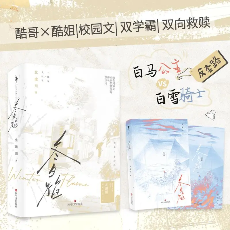 Cool Boy & Cool Girl Youth Campus Fiction Book Winter Flame Sweet Mutual Healing Love Story Novel