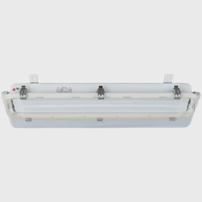JCY41-2GL Professional LED Chandelier 2X10W IP66 Battery Emergency Light 3w Steel Plastic Fixture for Home Decor Lighting