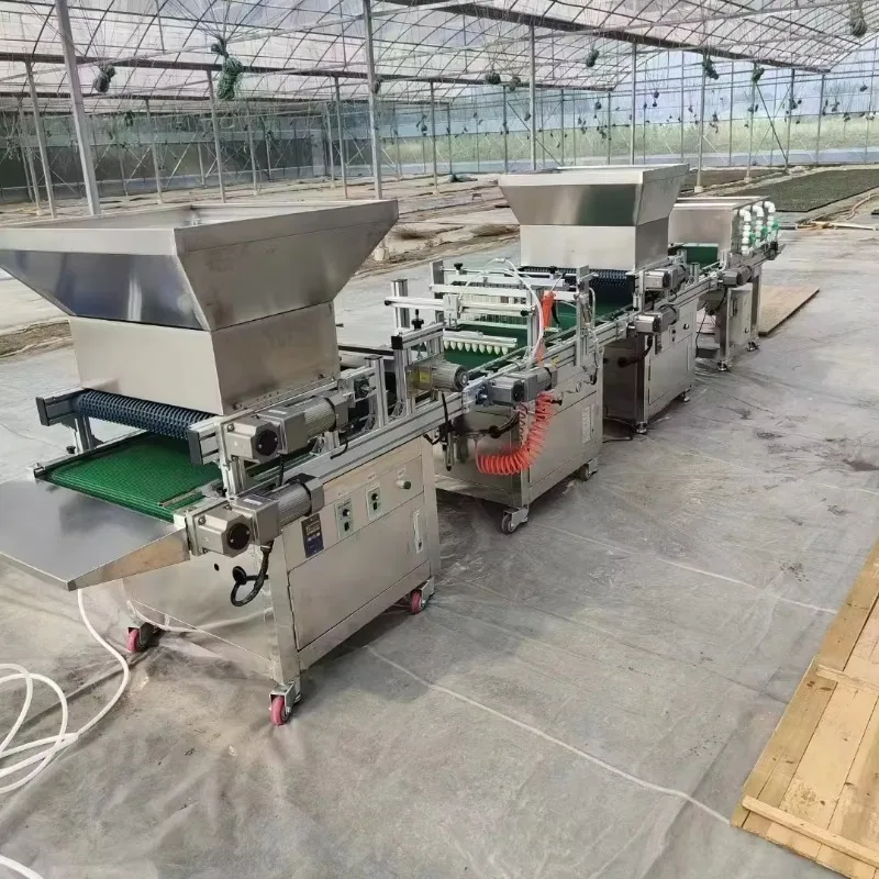

Easy Operation 260 Trays/Hour Automatic Suction Hole Punching Precision Vegetable Seedling Seeder
