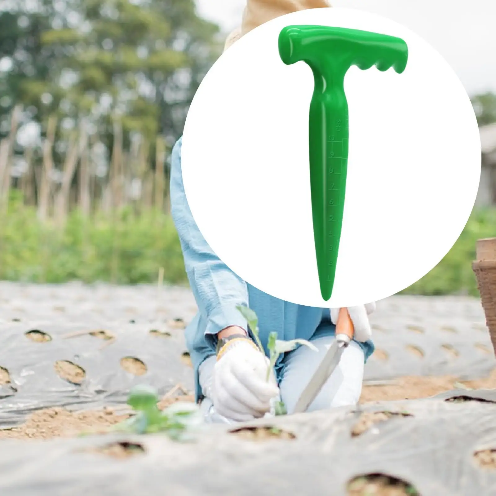 Sow Dibbler Professional Bulb Planting Tool for Seedling Weeding Loose Soil